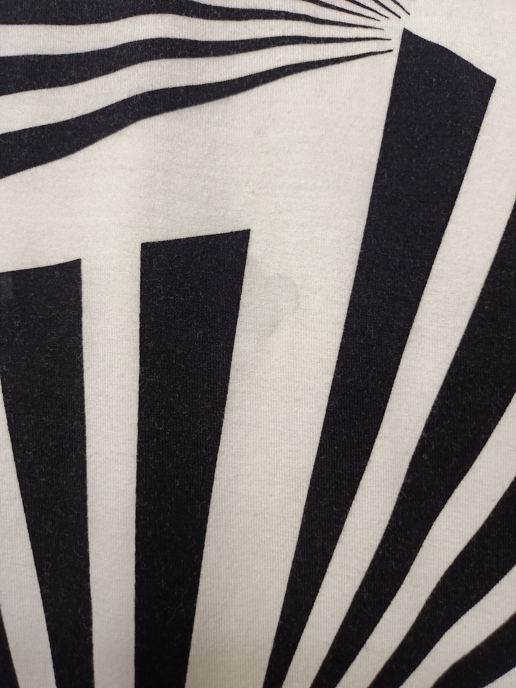 Bridge Street Abstract Fan Skirt