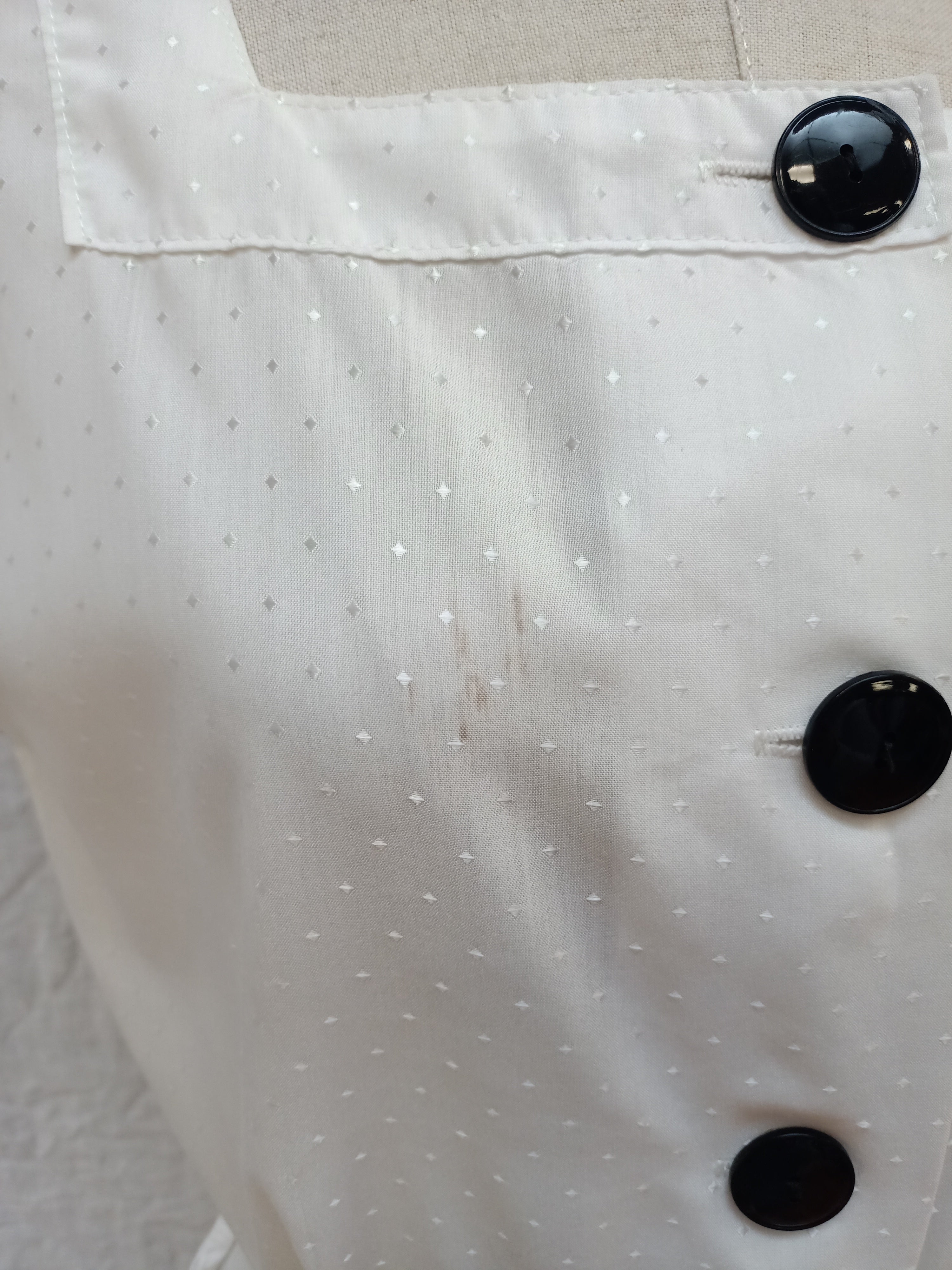 Vintage Changing Scene Dress