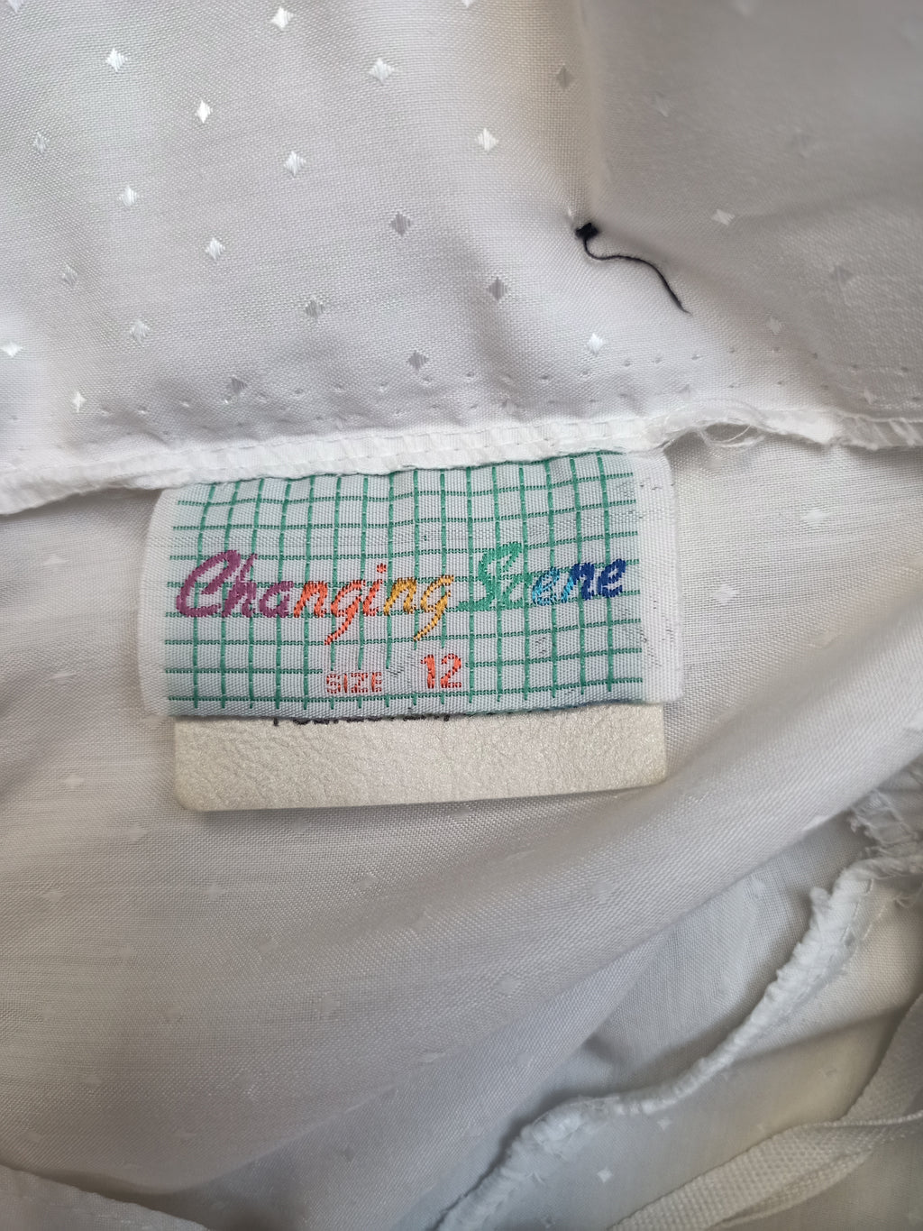 Vintage Changing Scene Dress