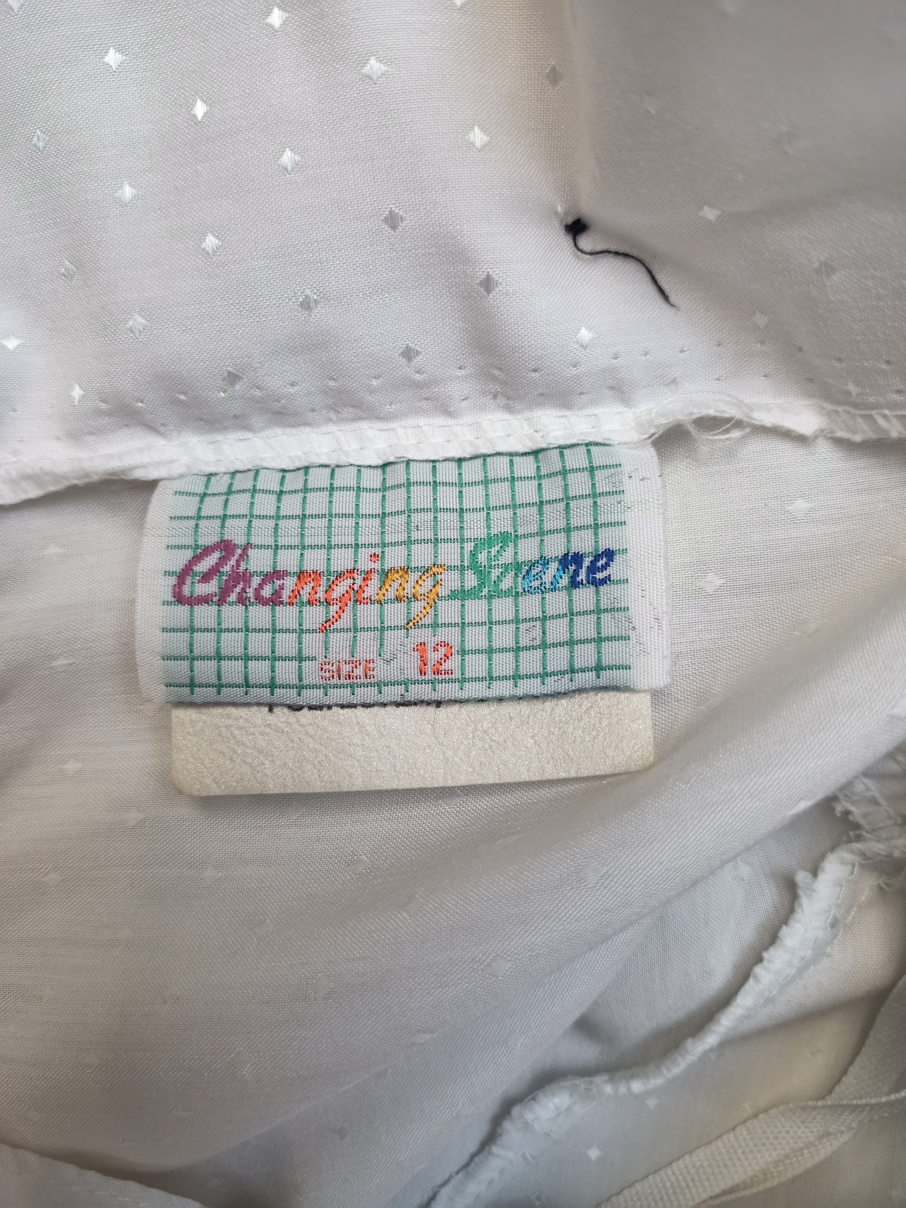 Vintage Changing Scene Dress