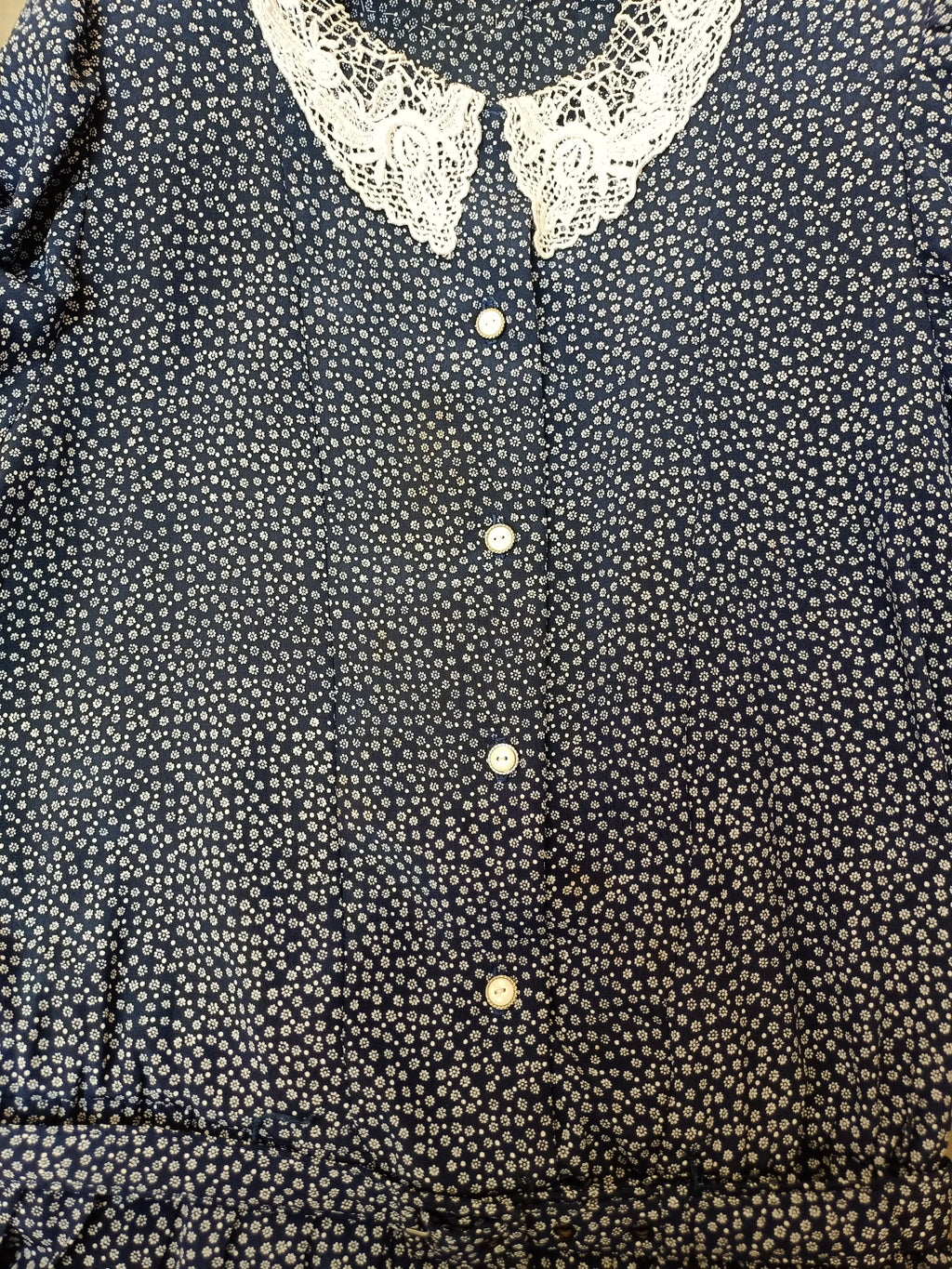 Vintage Lace Collar Floral Dress