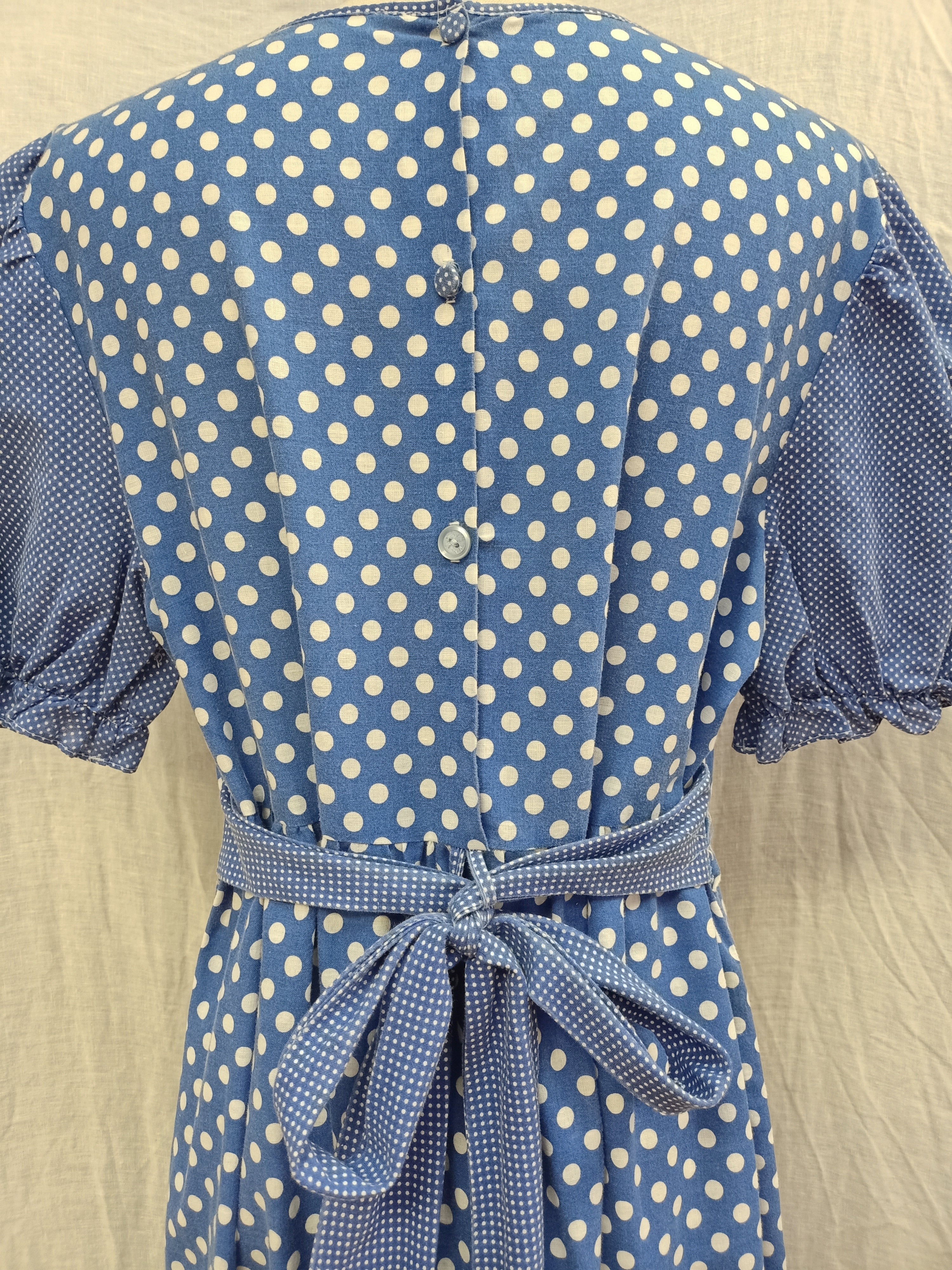Vintage Blue Prairie Dress