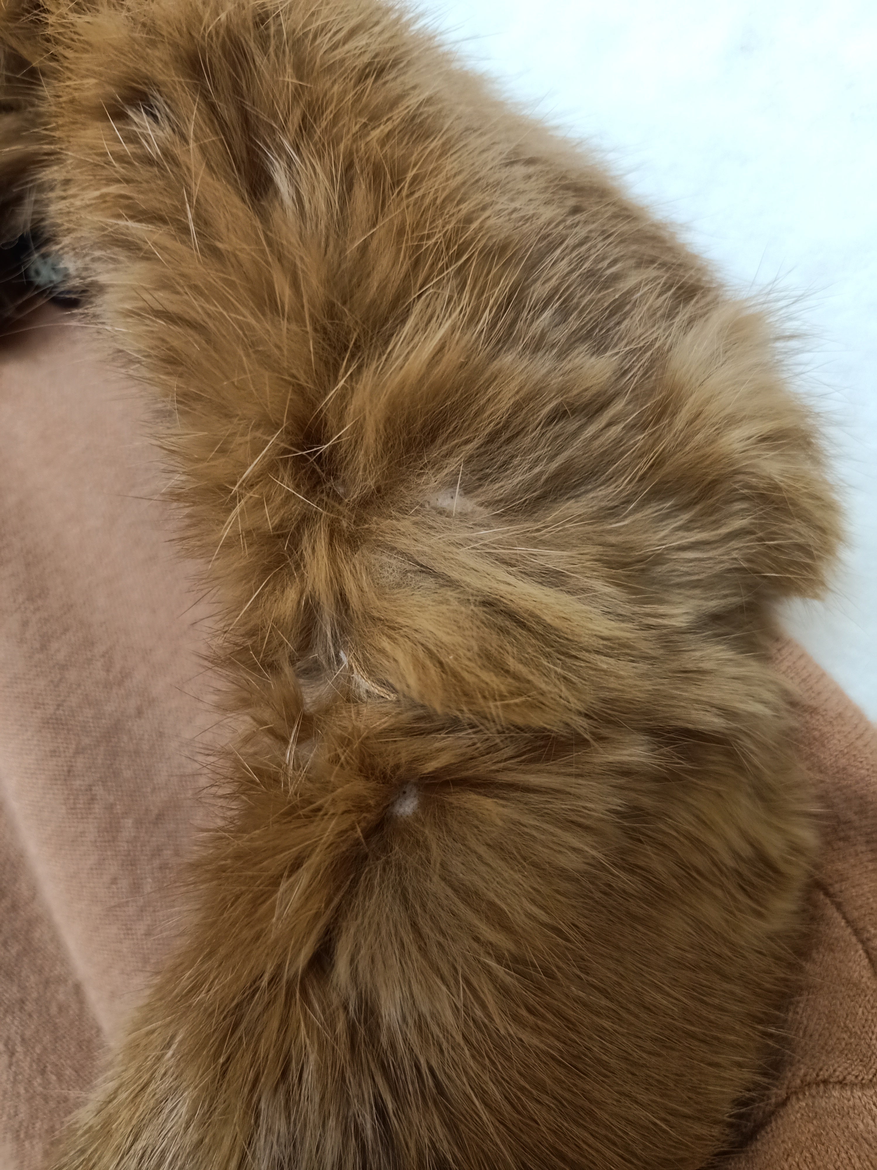 Vintage Downtown Fur Cardigan