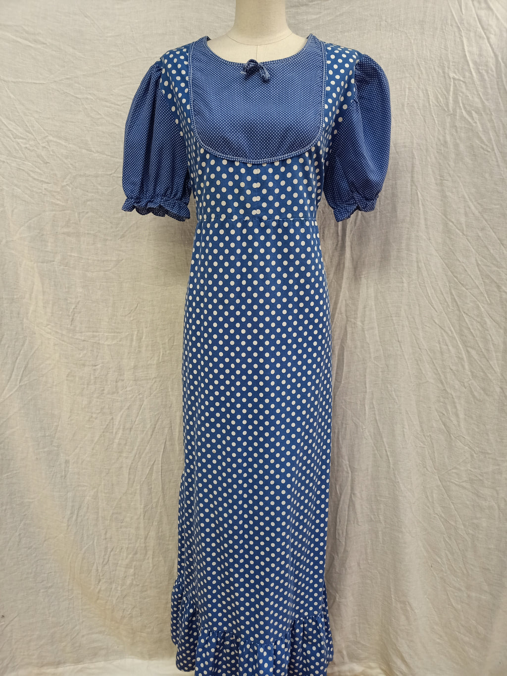 Vintage Blue Prairie Dress