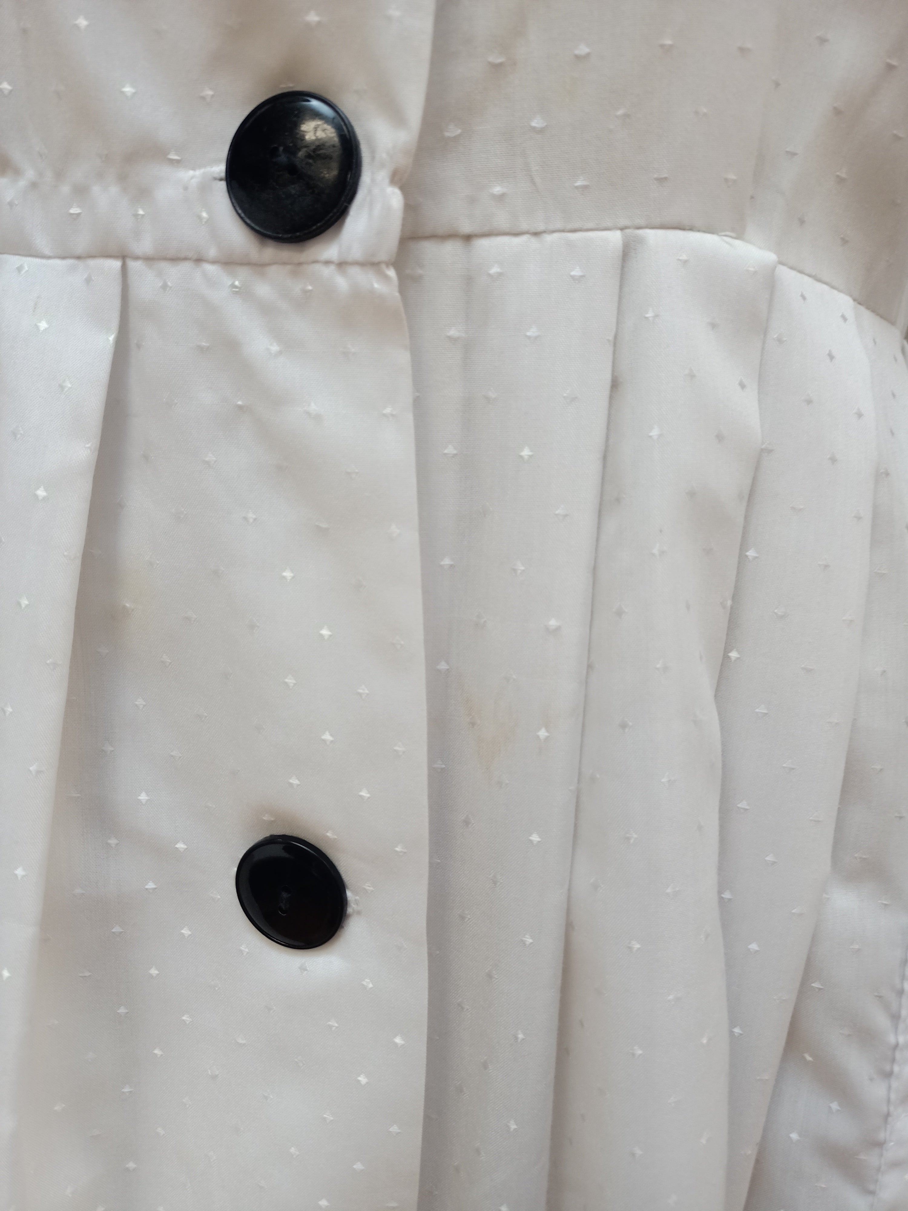 Vintage Changing Scene Dress