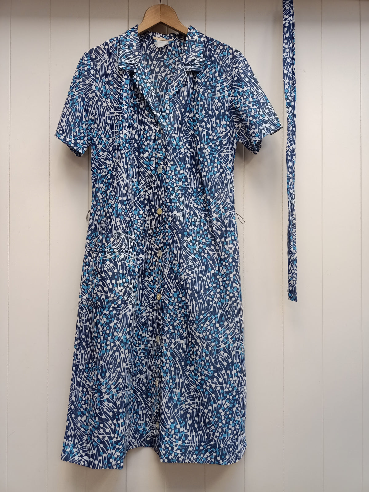 Vintage Sheer Dot & Line Dress